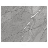 Trueliving_Shreeji Spider Grey Glossy 1200 mm x 600 mm GVT Tile_Price-51_Per Sq Ft.